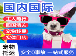 海拉尔机场货运国际宠物托运 【国